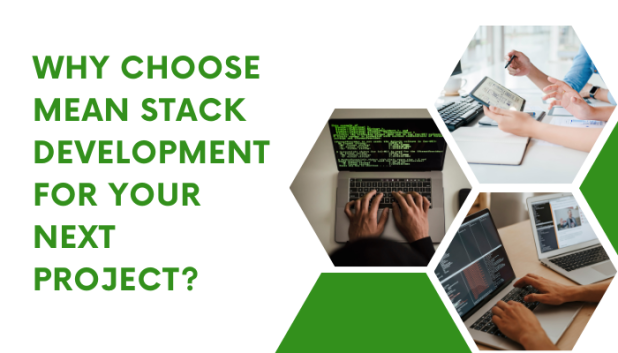 Why Choose MEAN Stack Development for Your Next Project?